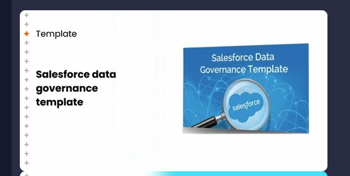 Salesforce data governance template